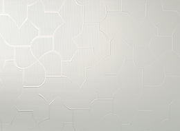  Patterned Glass |  Nature